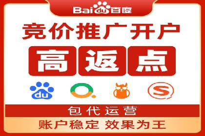 某某企业SEM推广成功案例：打造品牌营销新模式